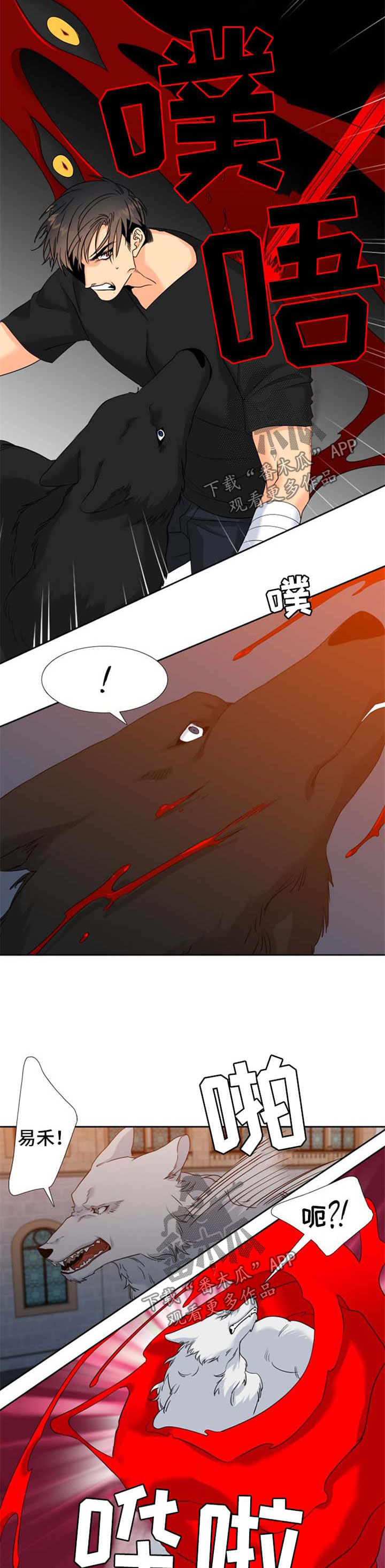 狼的英语怎么读漫画,第185章：【第二季】过头2图