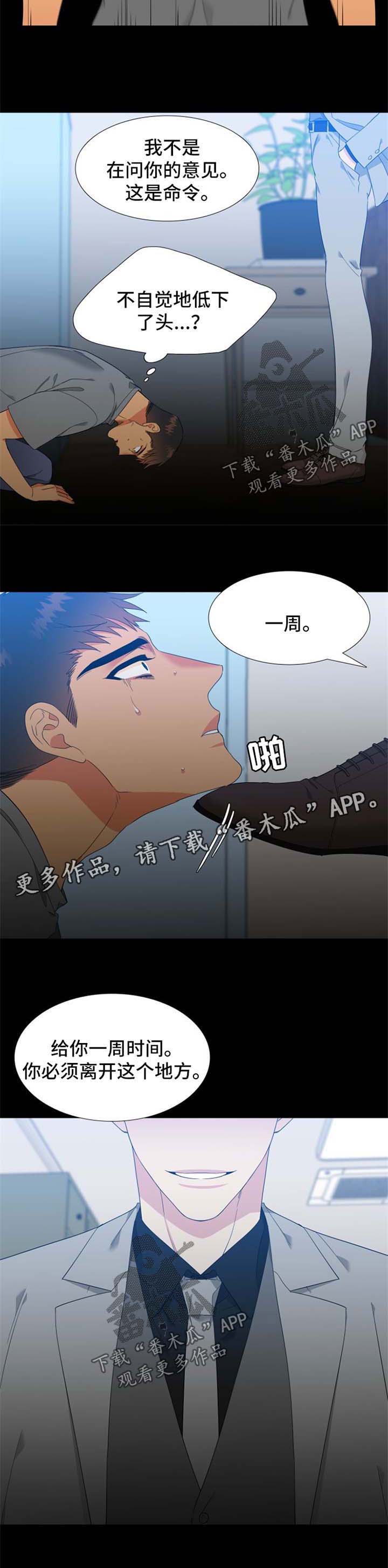 狼的香气第二季结局怀孕漫画,第169章：【第二季】强烈不安4图