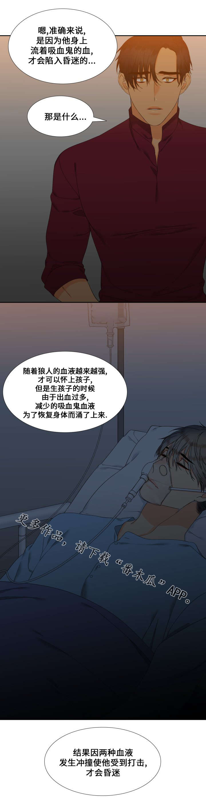 狼的香气免费漫画在线观看下拉式漫画,第89章：昏迷3图