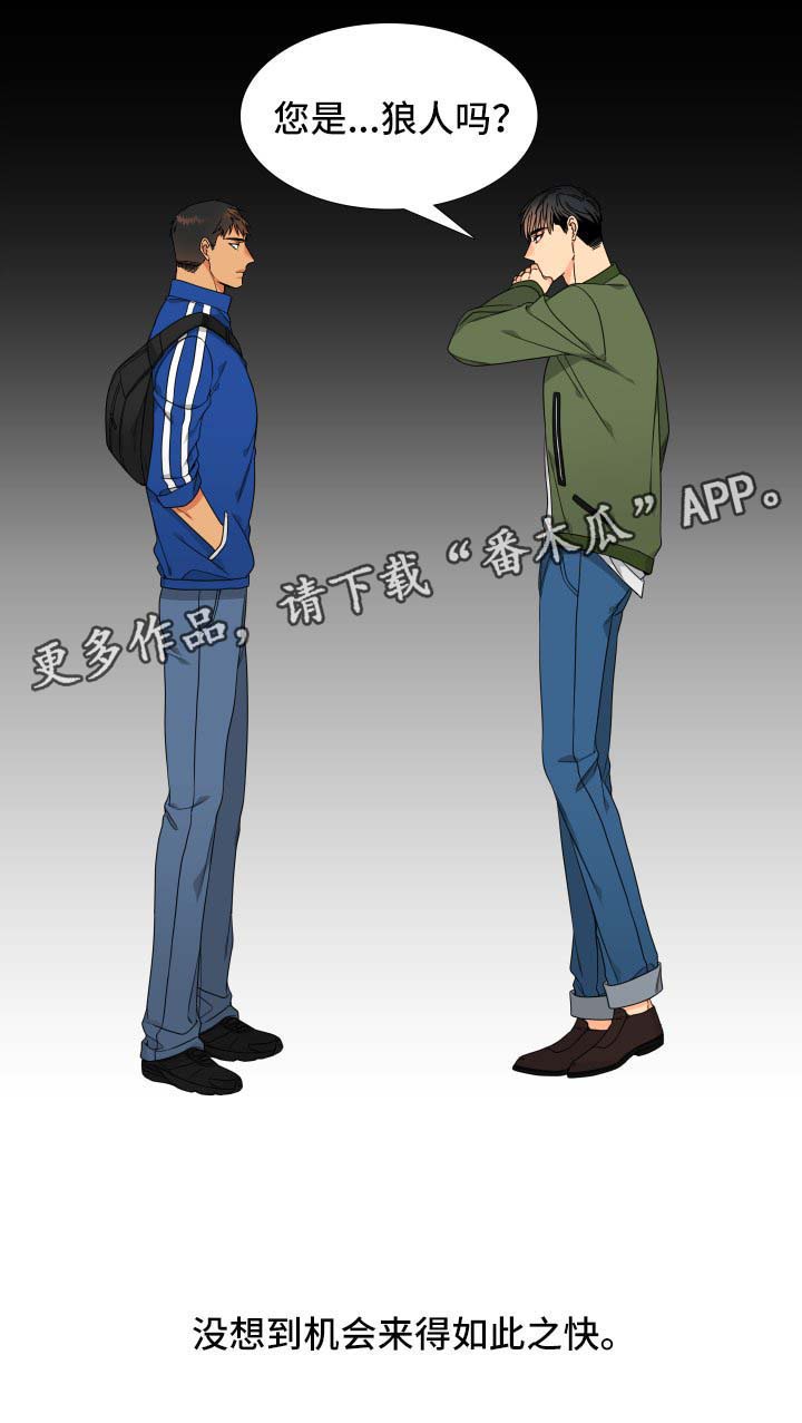 狼的英语怎么读漫画,第117章：【第二季】不能有失误4图