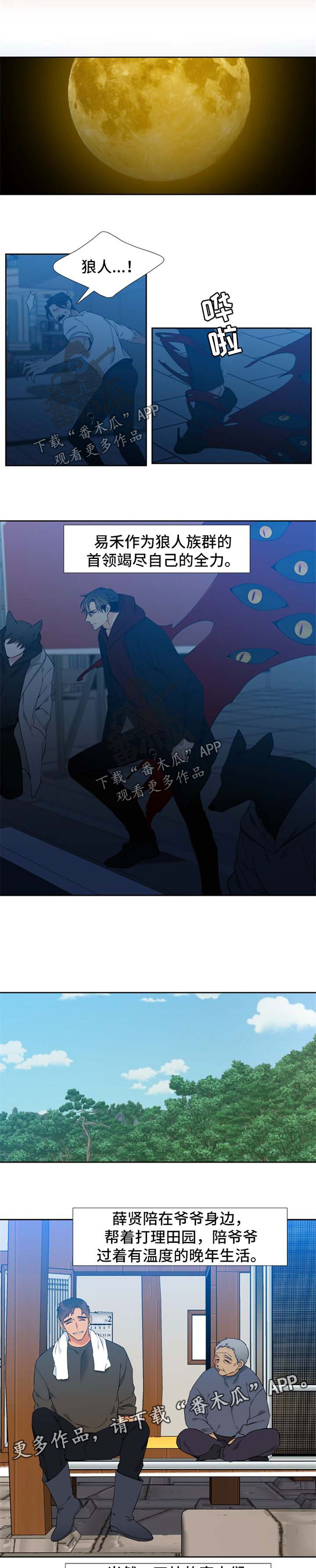 狼的英语怎么读漫画,第240章：【第二季】他们的婚礼【完结】1图