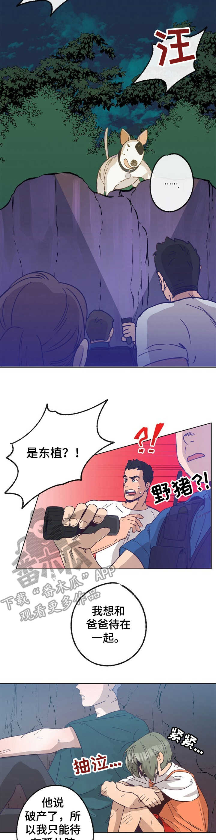 乡野鱼哥漫画,第27章：晕倒3图