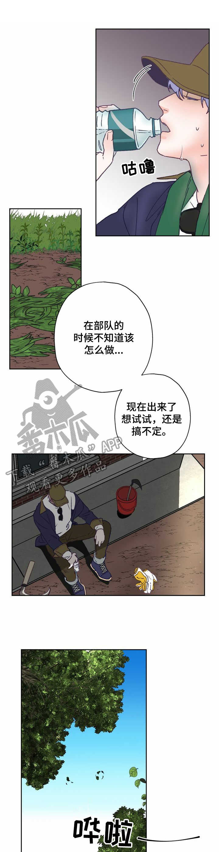 乡野农哥直播漫画,第8章：除草5图