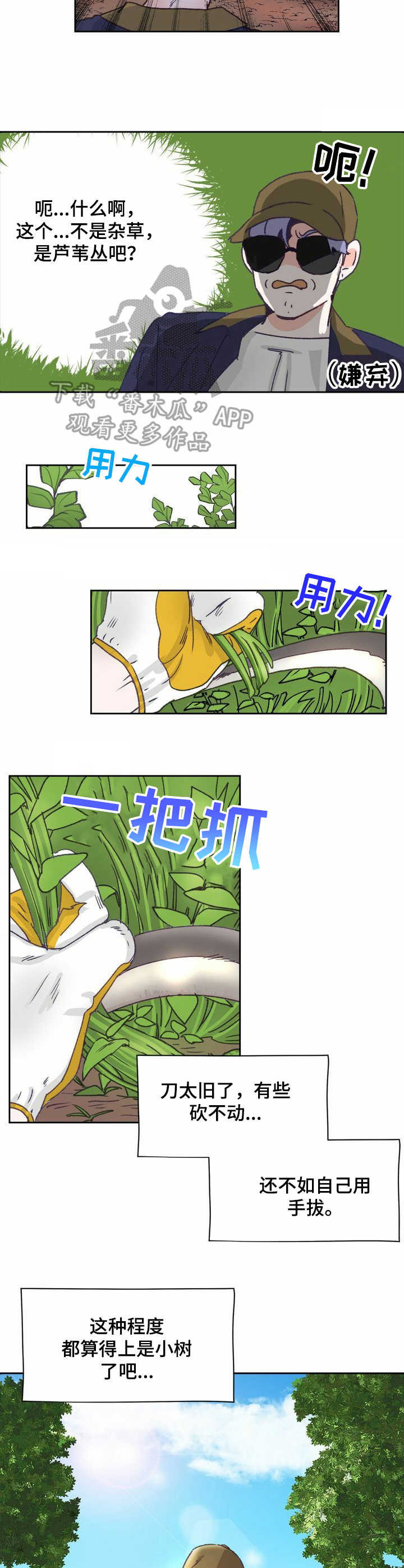 乡野农哥直播漫画,第8章：除草3图