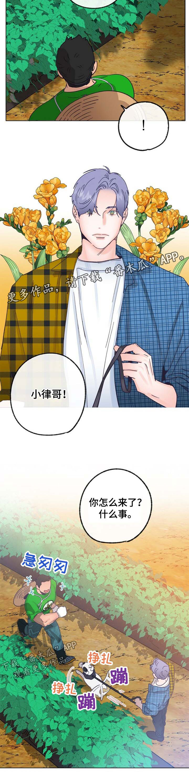 乡野旋律图片漫画,第42章：来人5图