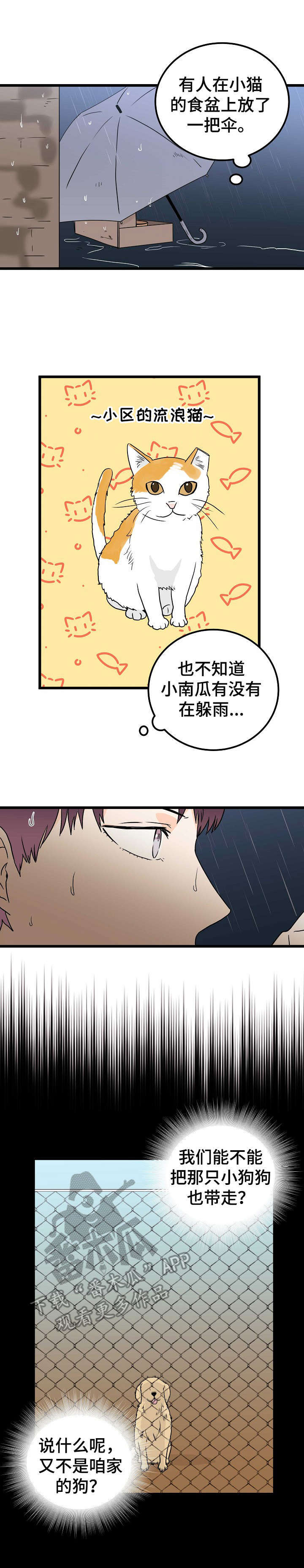 第2章：耀眼1