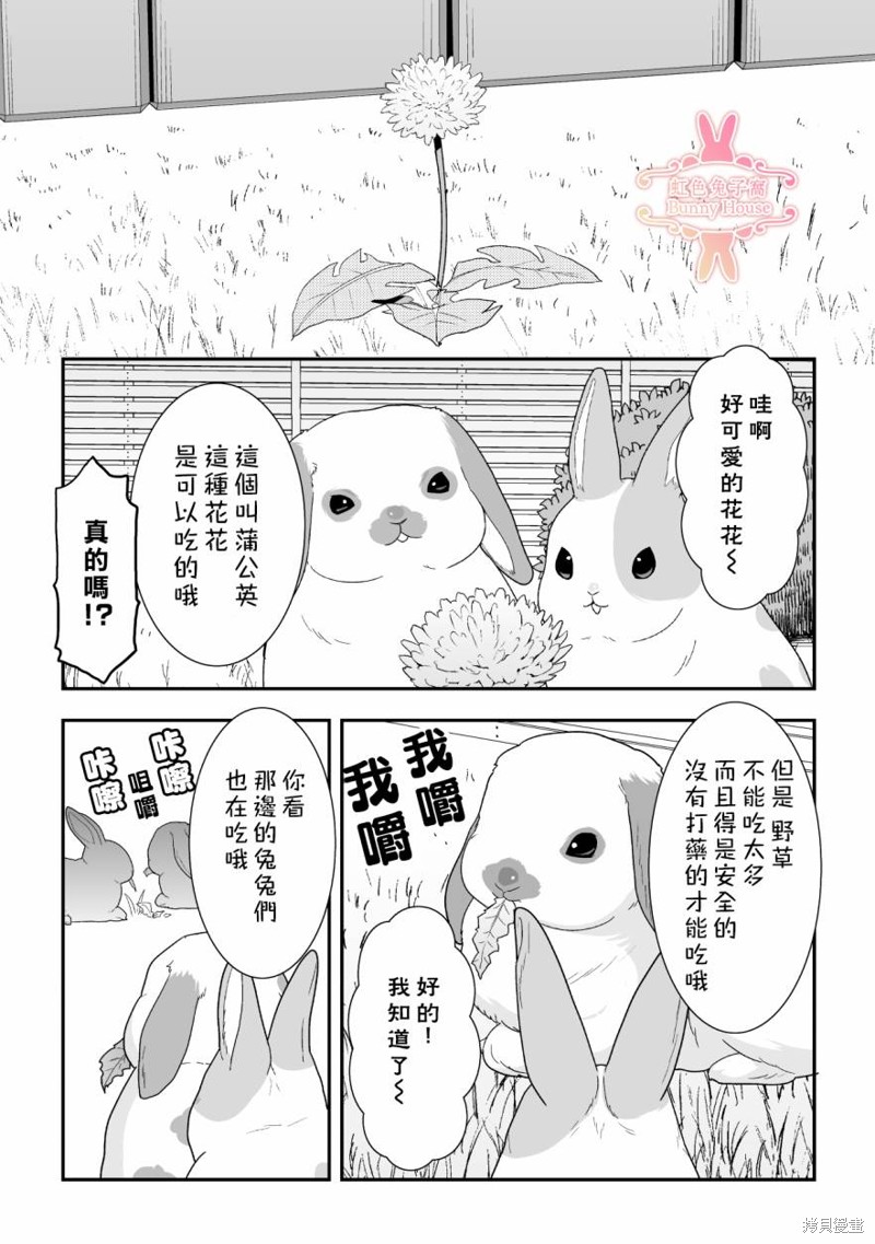 极兔兔速递单号查询快递网漫画,第35话3图