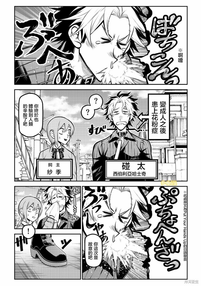 我家碰太变成了人类这件事。漫画,博美篇2图
