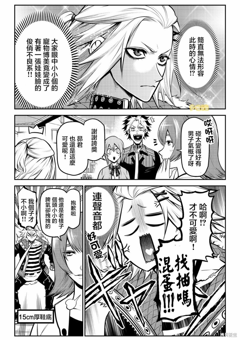 我家碰太变成了人类这件事。漫画,博美篇4图