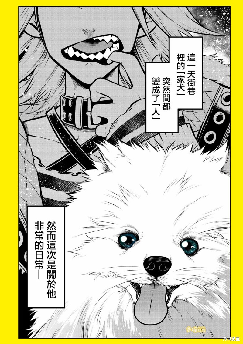 我家碰太变成了人类这件事。漫画,博美篇1图