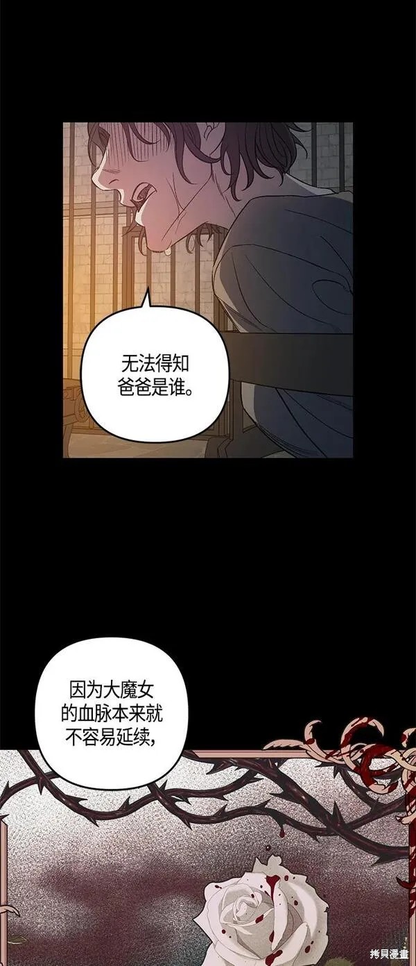 圣者炎龙vs暗黑魔龙漫画,第13话2图