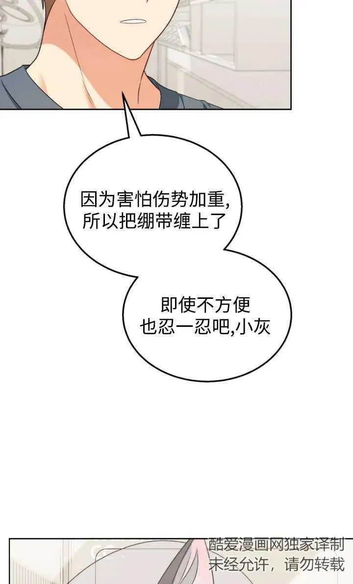 兽医先生！你好？漫画,第15话3图