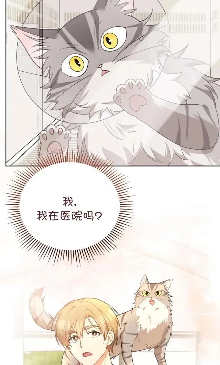 兽医先生！你好？漫画,第15话4图