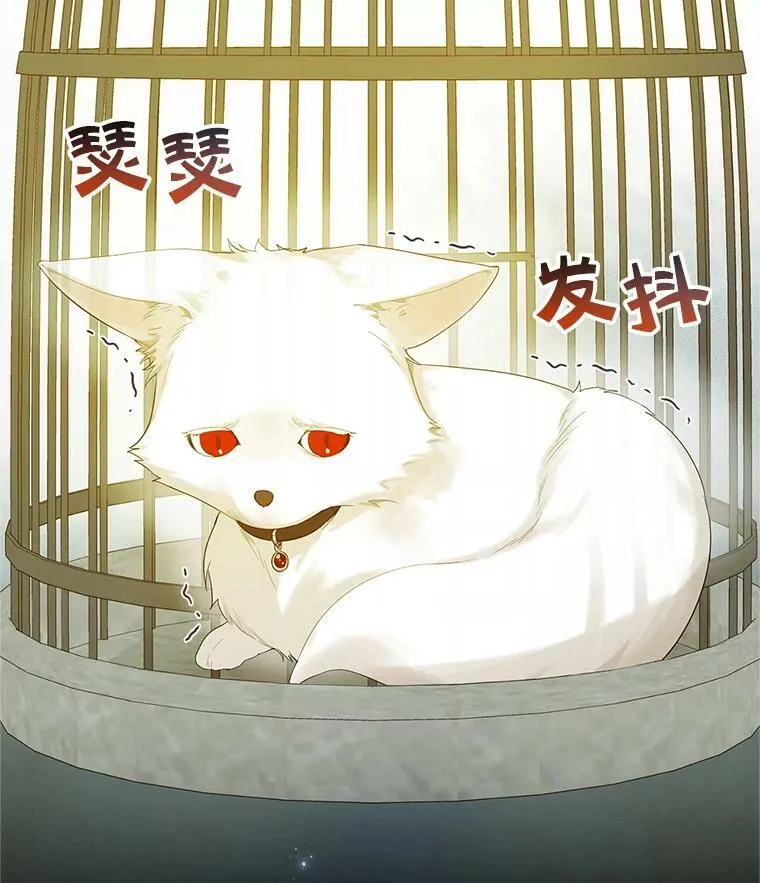 穿成后悔偏执狂的妹妹漫画,11.兽人2图