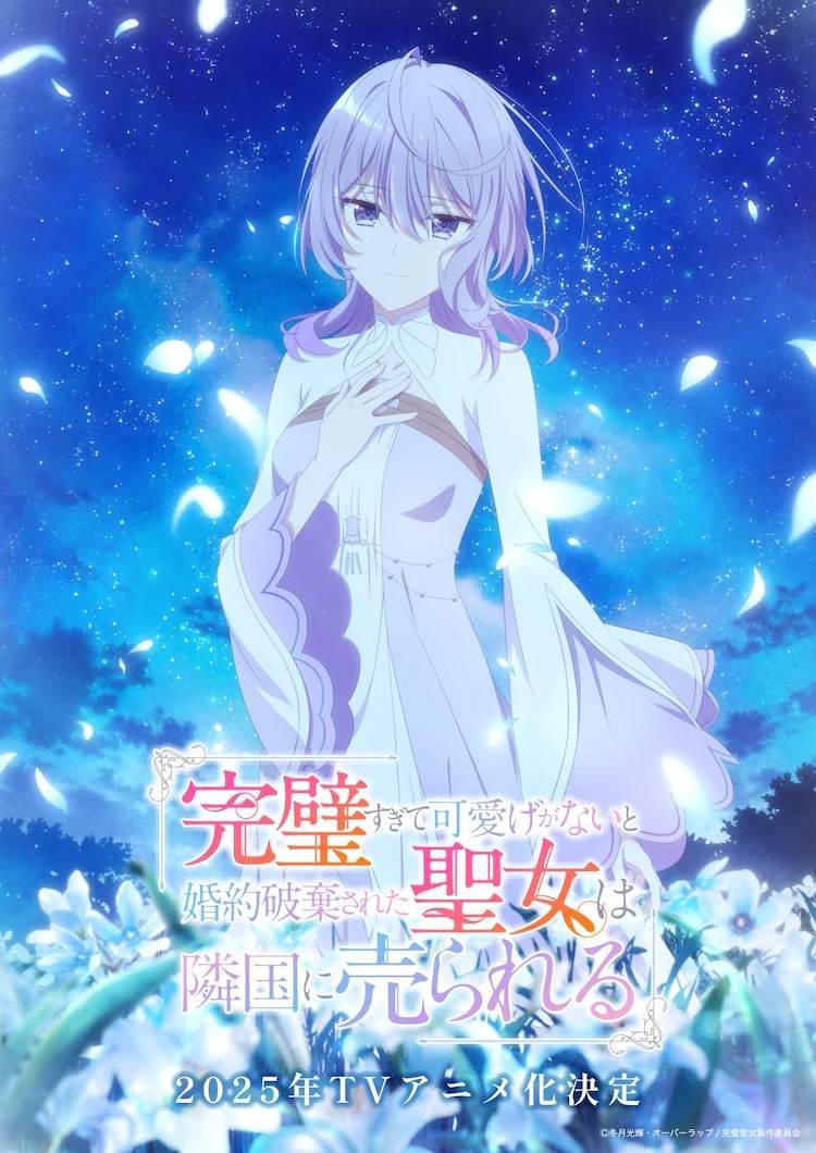 动画化0