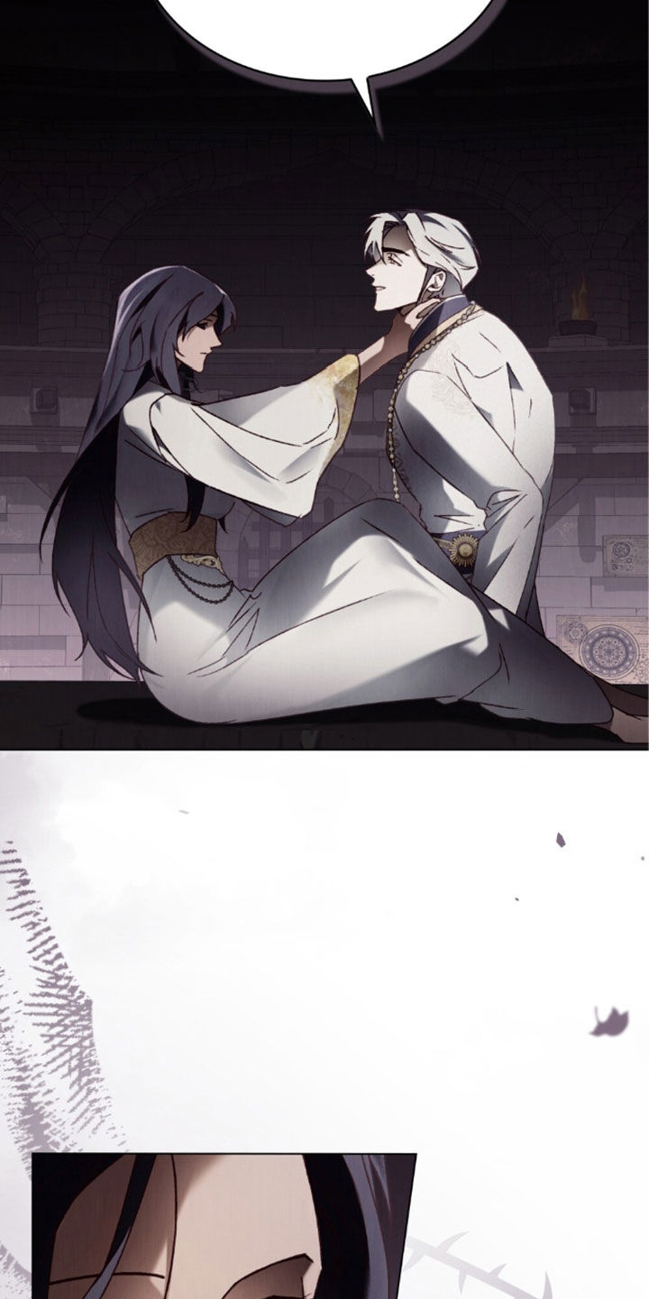 琥珀酸亚铁漫画,第106话5图