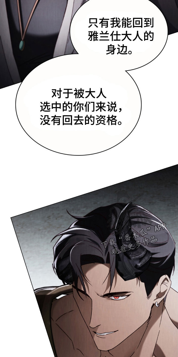 琥珀魅影官方正版官网漫画,第98话4图