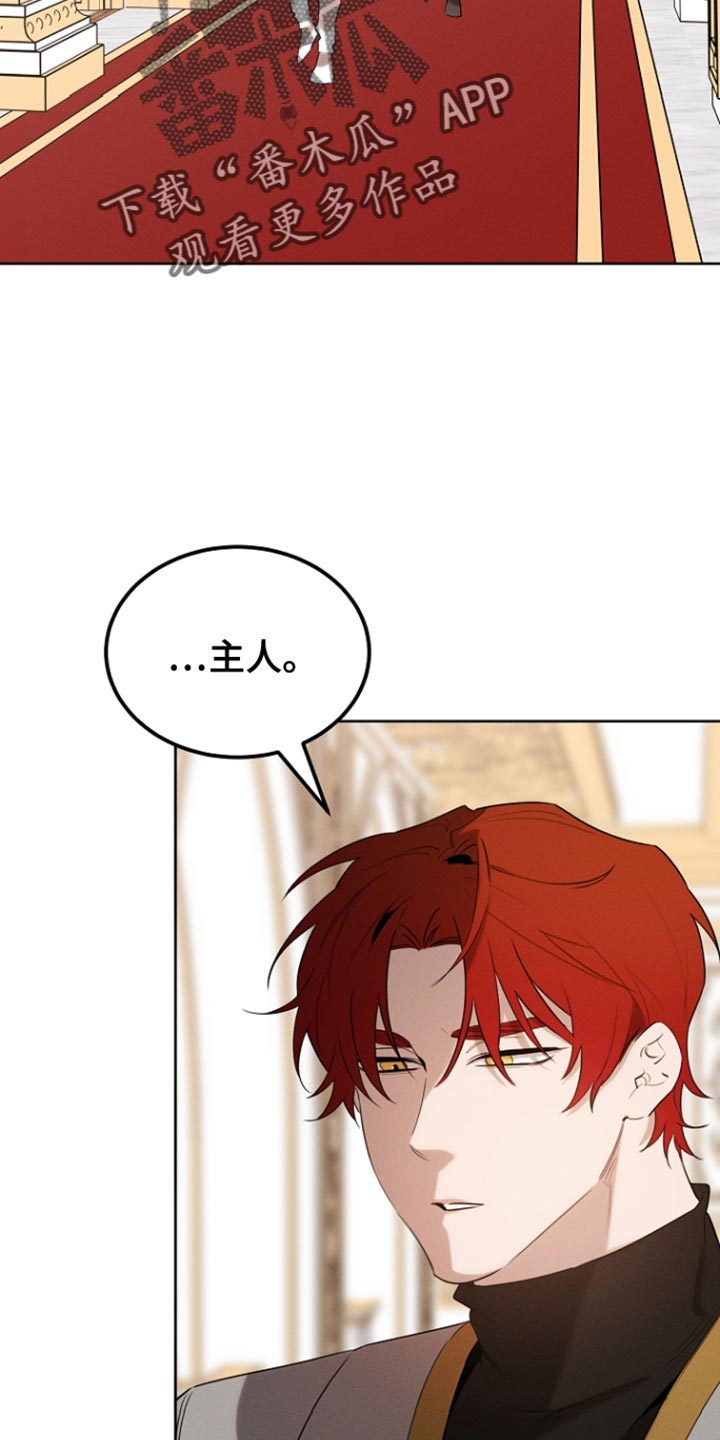 白鸟奇遇记漫画免费漫画,第77话2图
