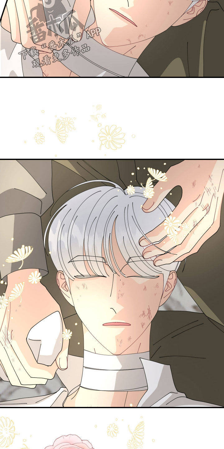 我的配角ooc有小说吗漫画,第50话4图