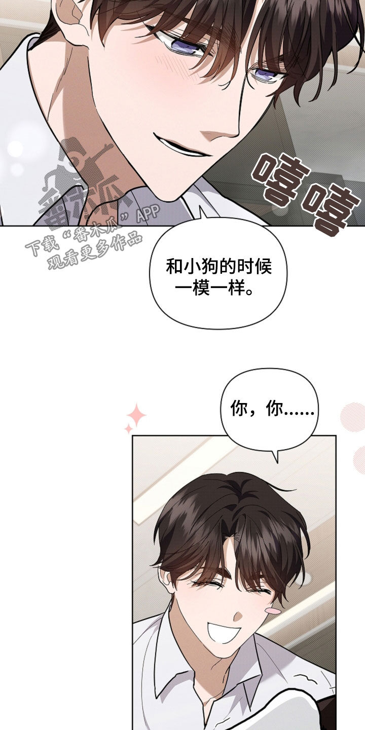 小白狗奇遇记动漫漫画,第43话4图