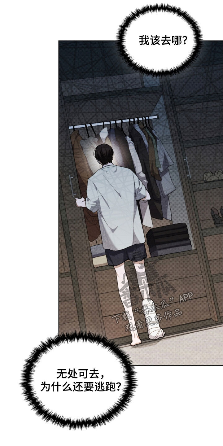 小白狗奇遇记动漫漫画,第42话5图