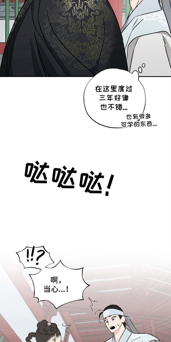 少年暴君人物关系漫画,第2话4图