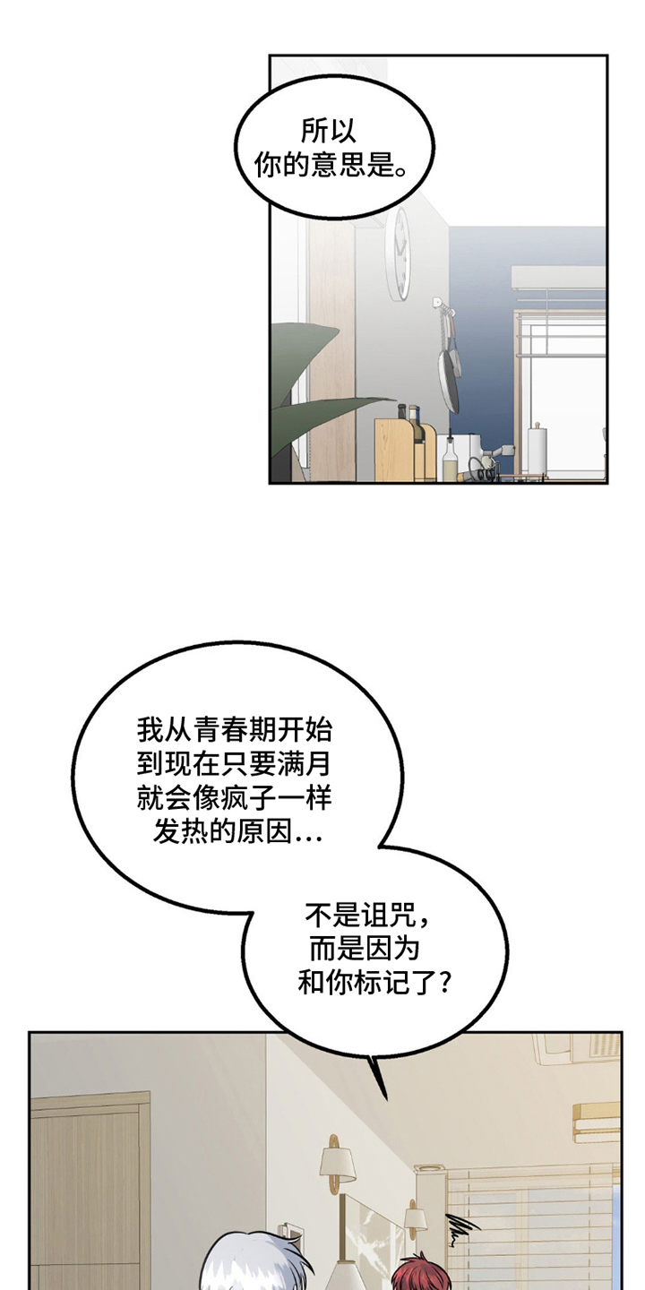 森林狼的状元有多少漫画,第7话1图