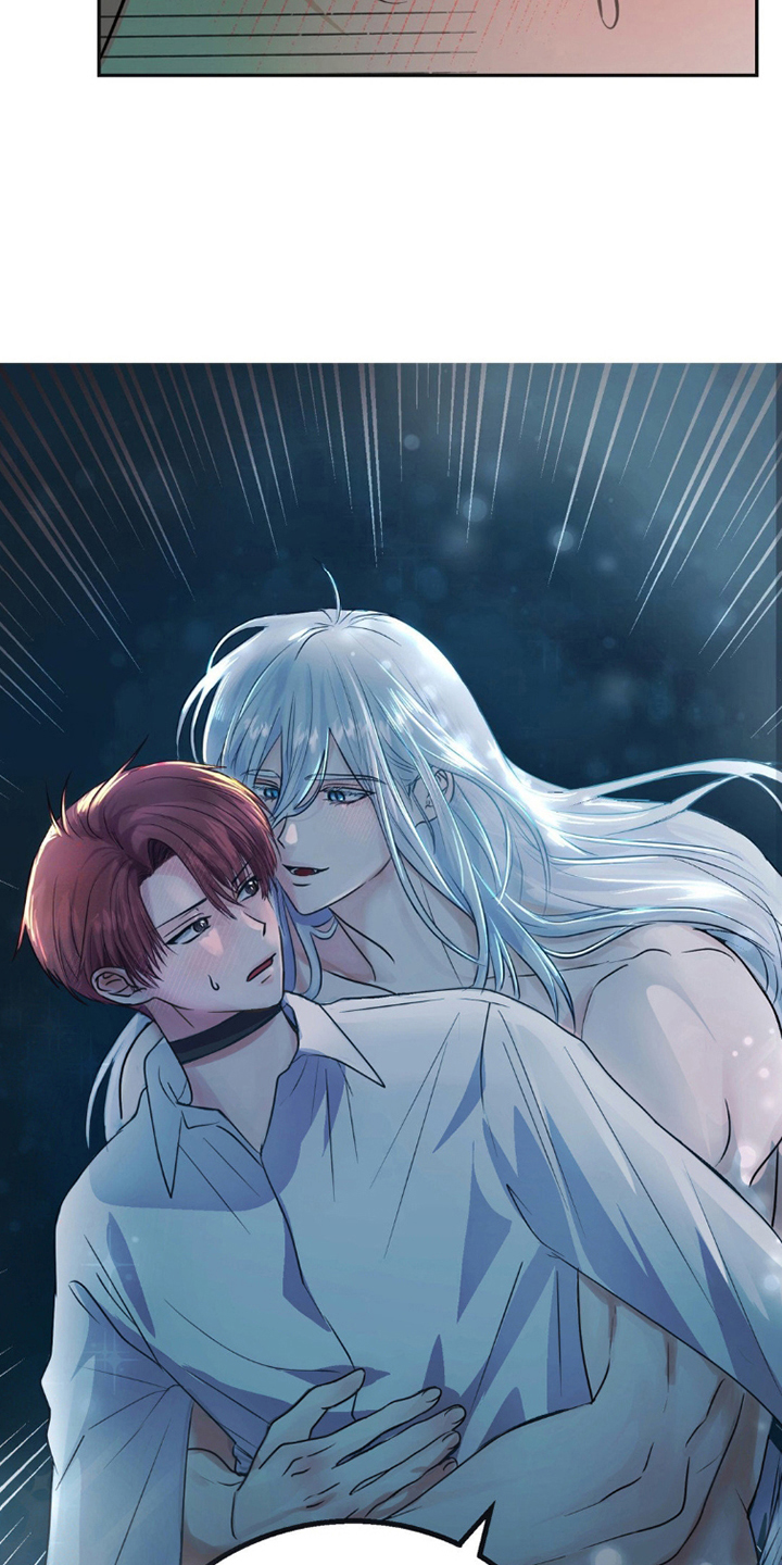 森林狼的状元有多少漫画,第3话5图