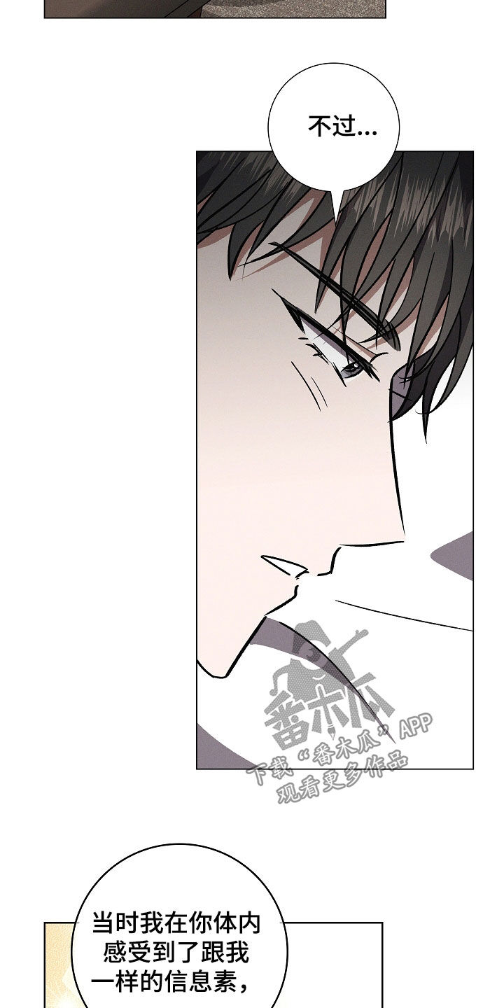 我的太子妃超凶的小说免费阅读漫画,第106话5图