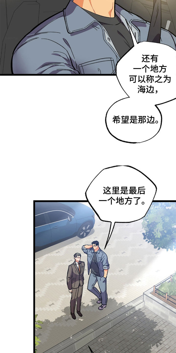 浴火重生任务怎么做盾在哪漫画,第38话4图