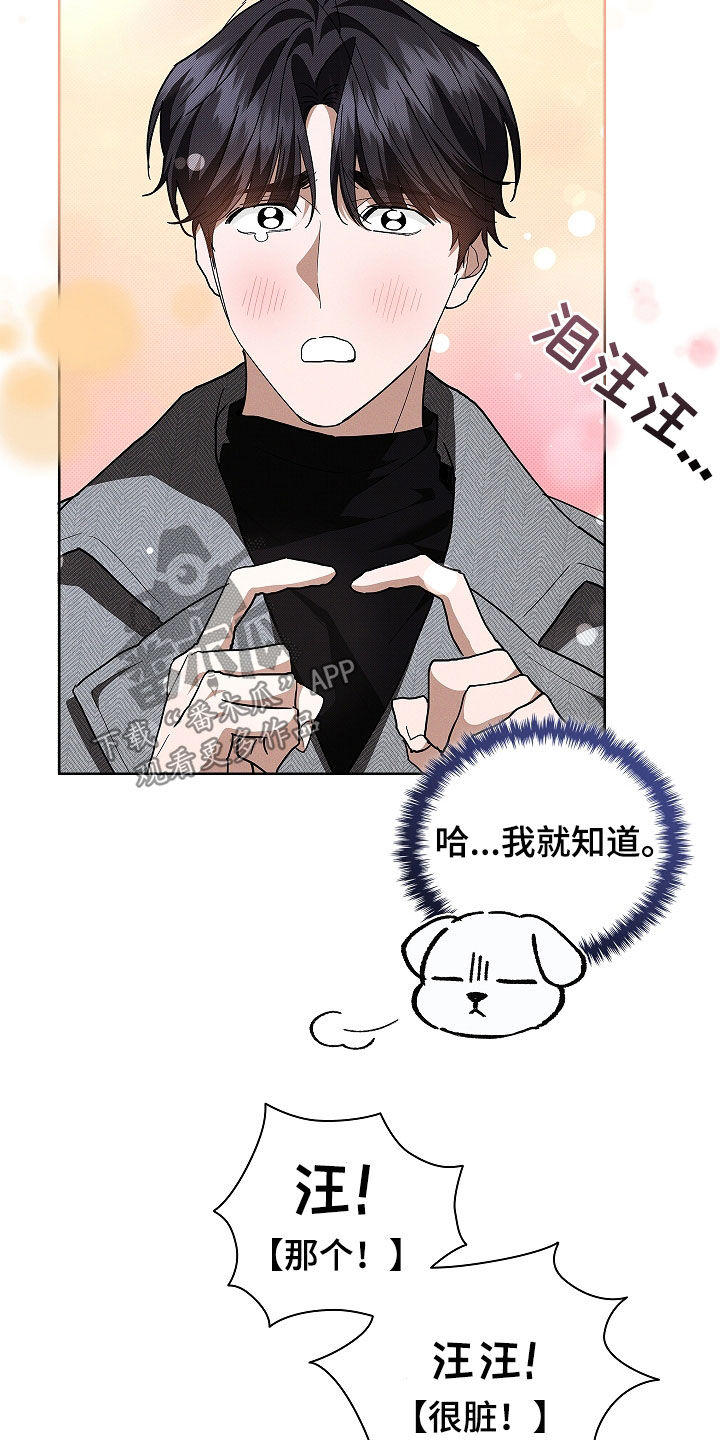 小白狗奇遇记漫画全集免费观看漫画,第45话3图