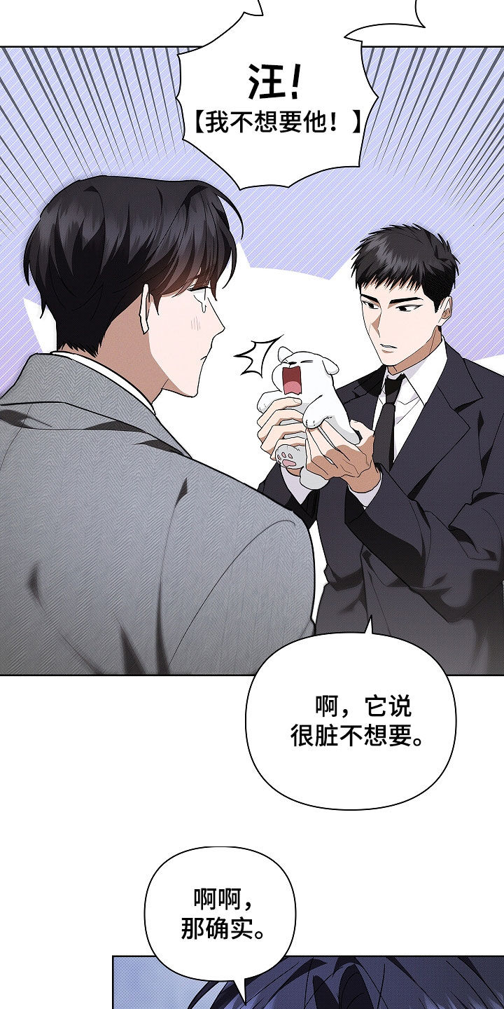 小白狗奇遇记漫画全集免费观看漫画,第45话4图