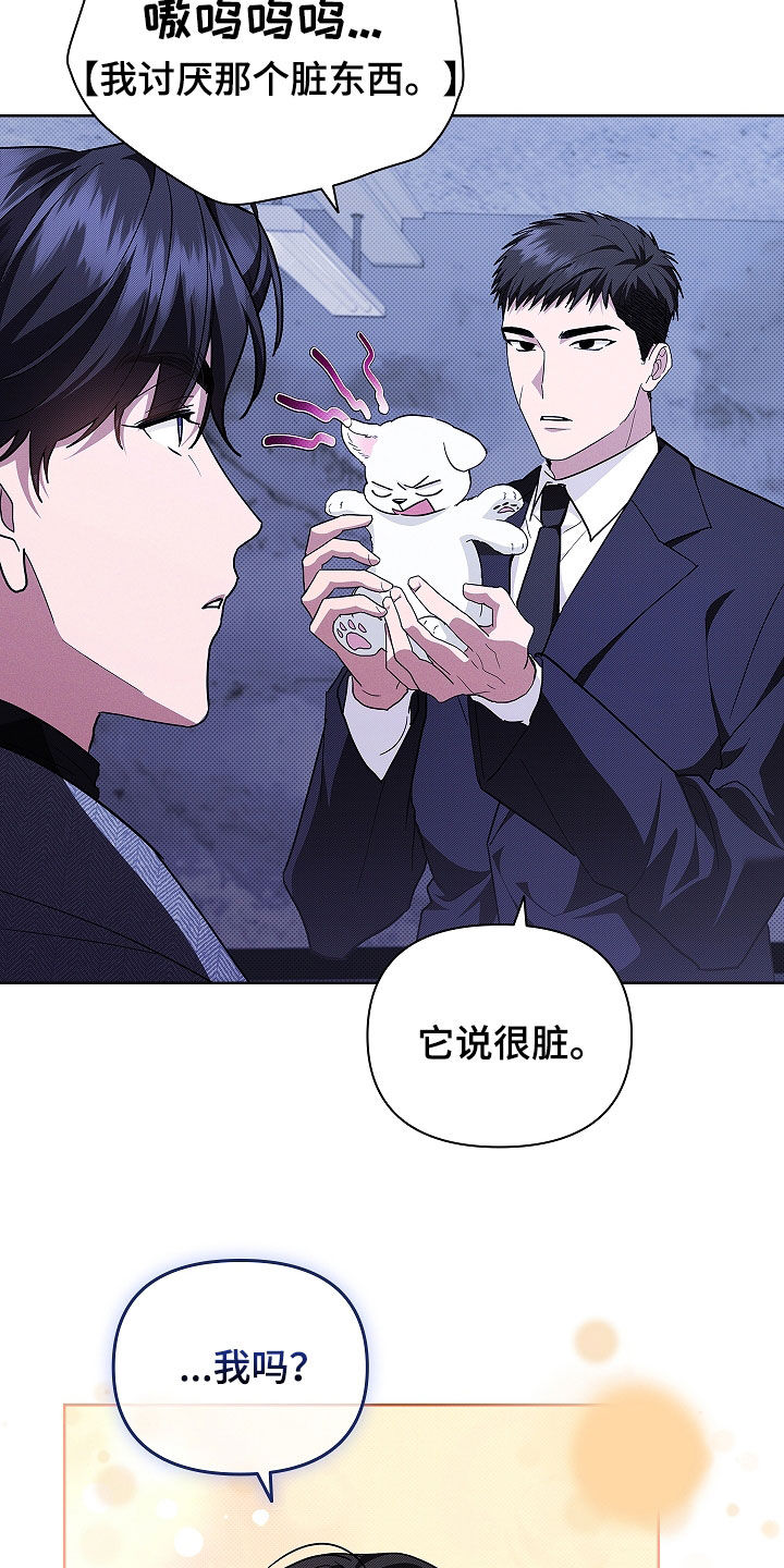 小白狗奇遇记漫画全集免费观看漫画,第45话2图