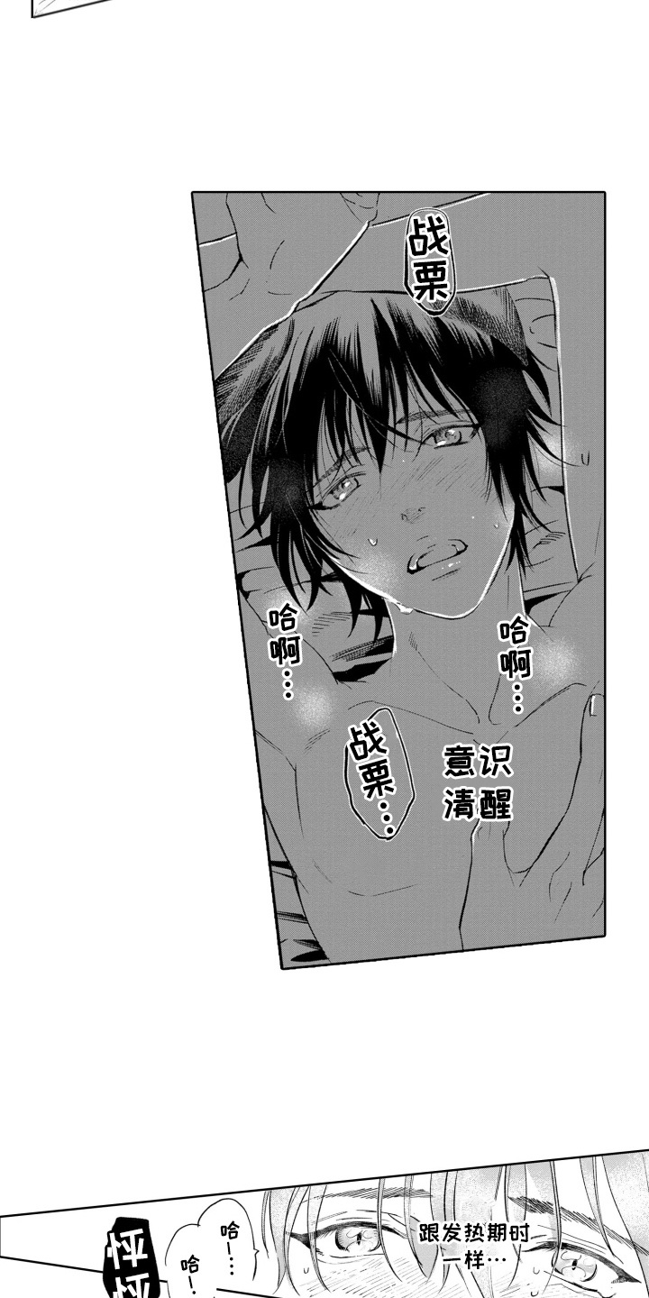 一只狼一只羊一棵白菜怎样过河漫画,第30话5图