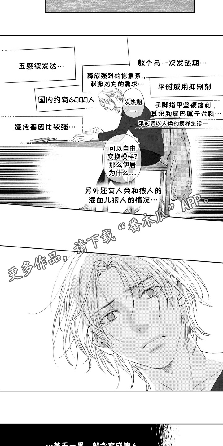 一只狼的简笔画漫画,第27话5图