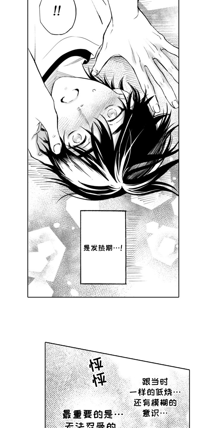 一只狼的母爱漫画,第19话4图