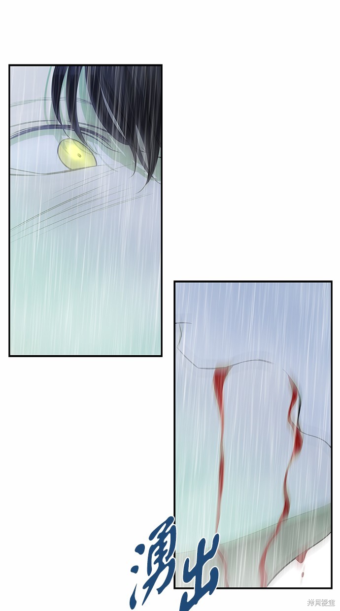陷阱漫画免费观看漫画,第146话5图