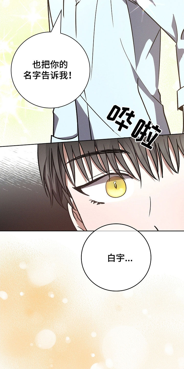 我的太子妃很凶的全文漫画,第114话4图