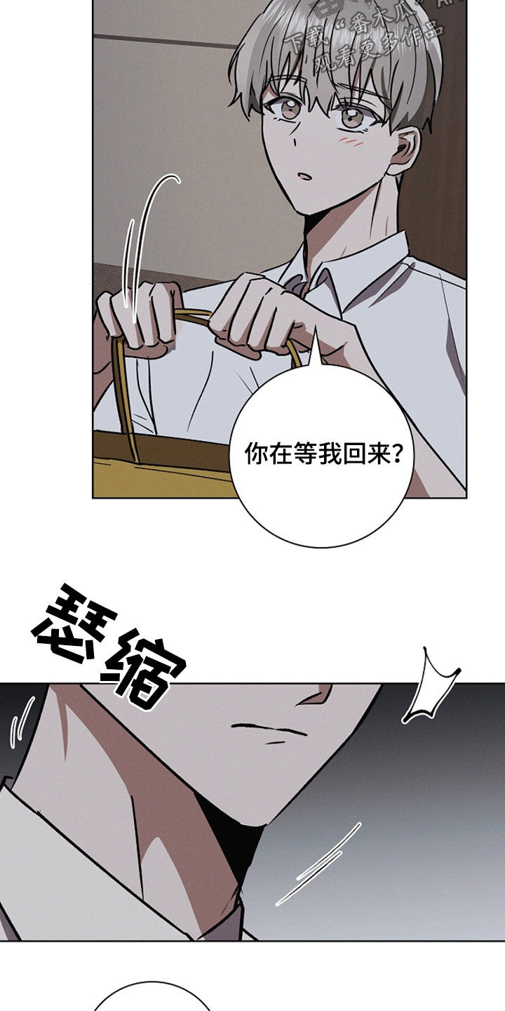 我的太子妃超凶的小说免费阅读漫画,第109话5图