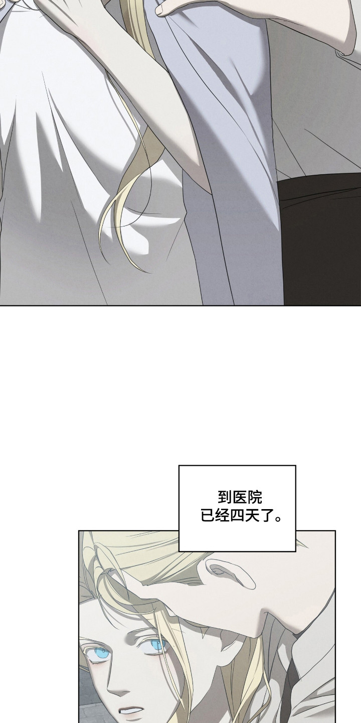 针锋相对打一生肖是什么动物漫画,第53话5图