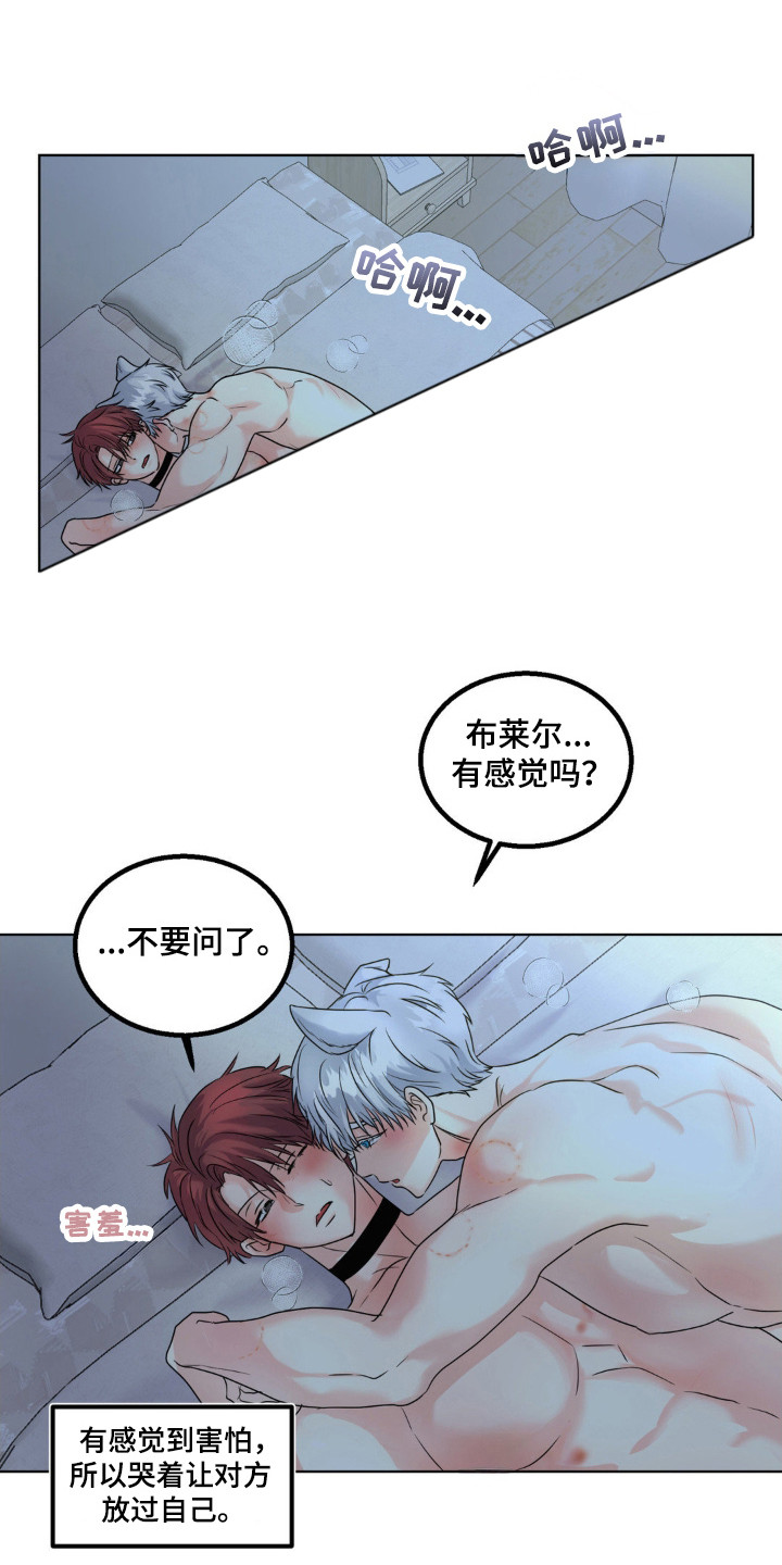 森林狼的诅咒漫画在哪看漫画,第23话1图