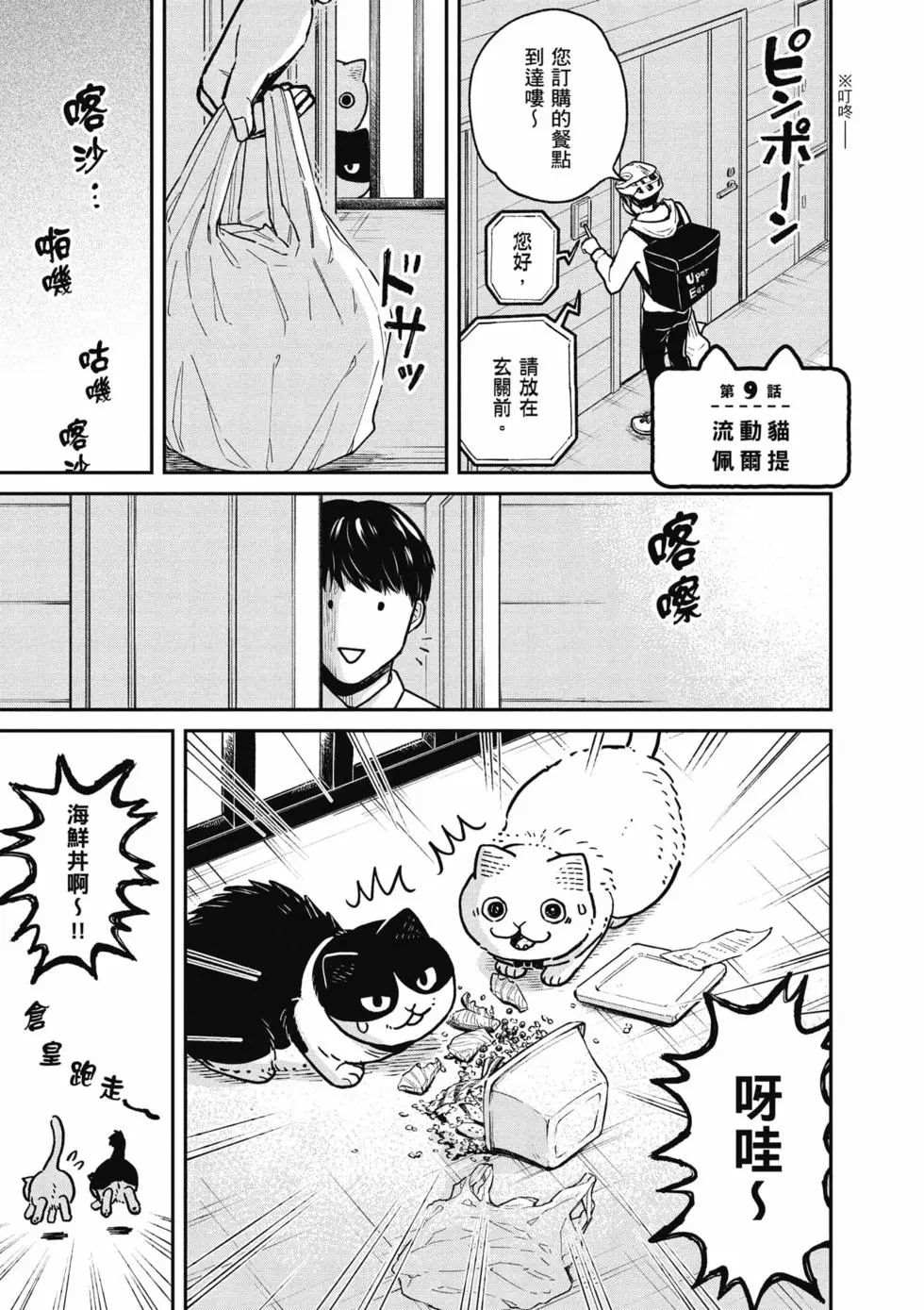 猫咪好伙伴小圆圆和小八漫画,第2卷4图