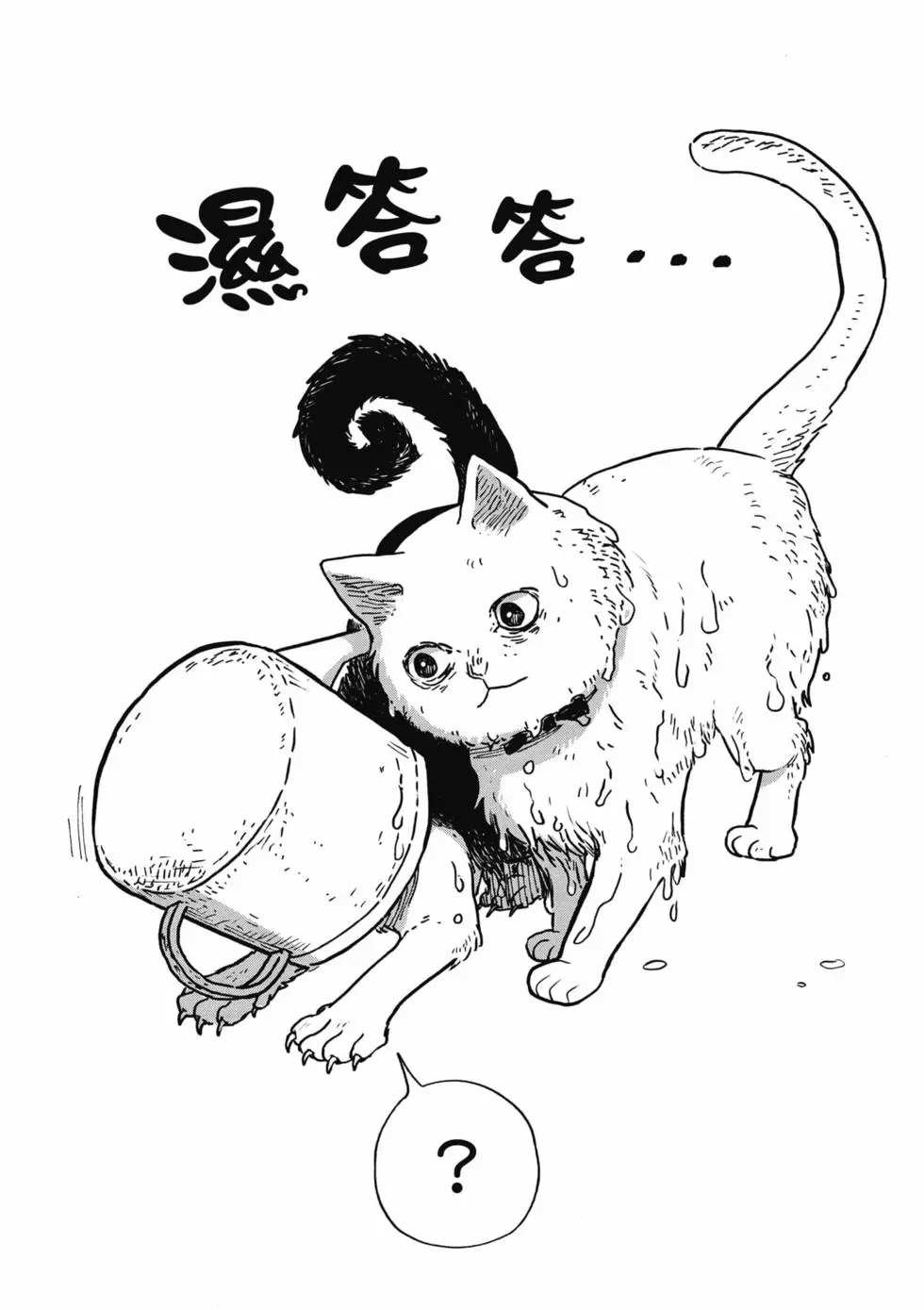 猫咪好伙伴小圆圆和小八漫画,第1卷5图