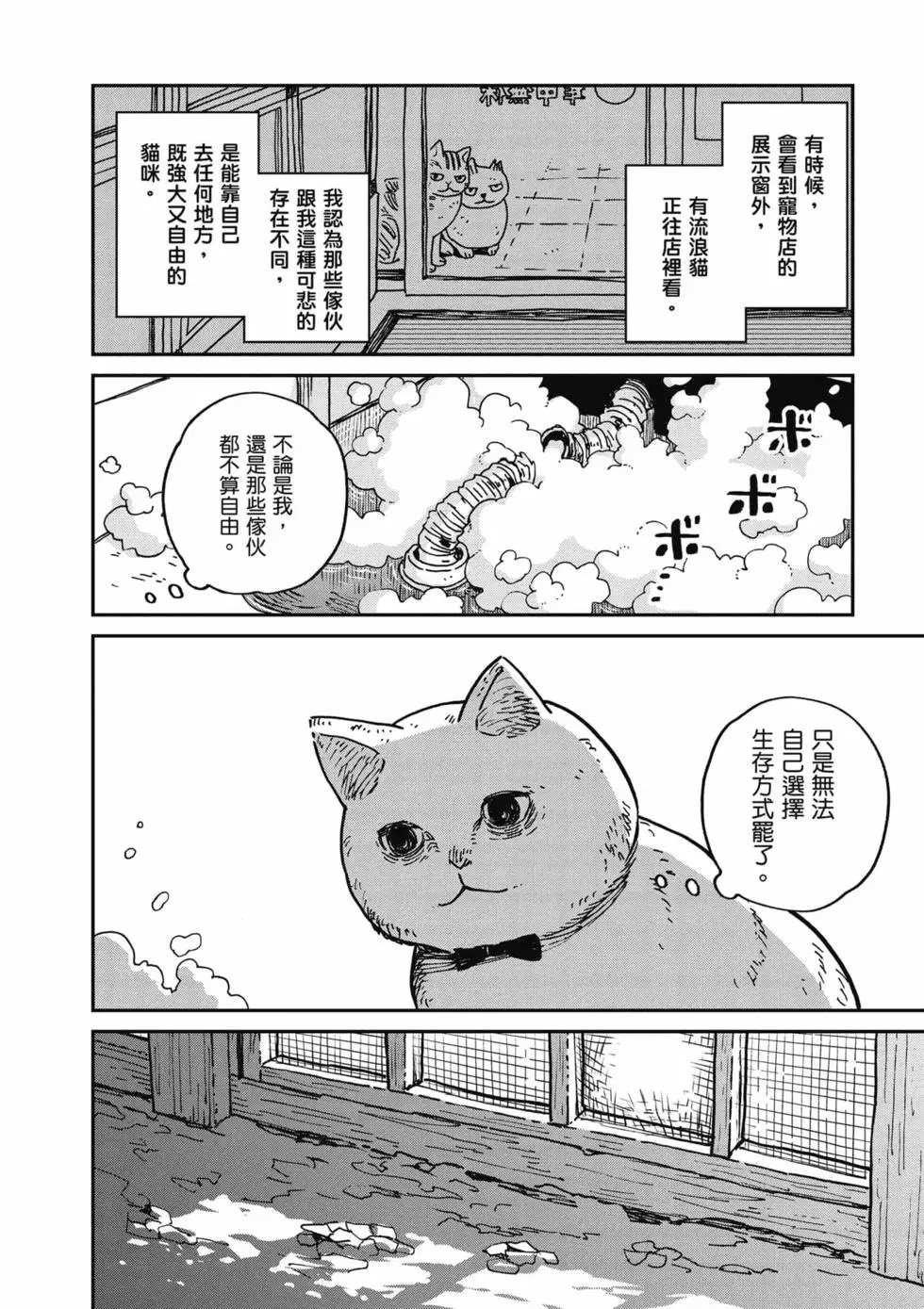 猫咪好伙伴小圆圆和小八漫画,第1卷3图