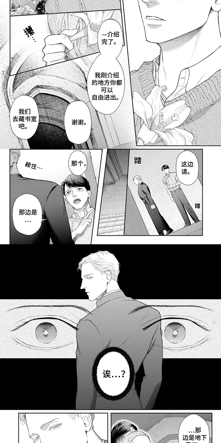 洛克兰拉杆箱好用吗漫画,第5话4图