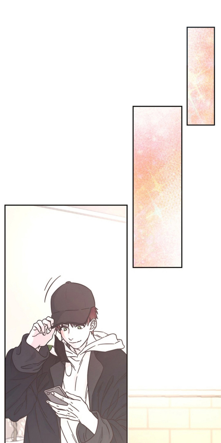 我的爱豆会发光全文免费阅读无弹窗漫画,第4话1图