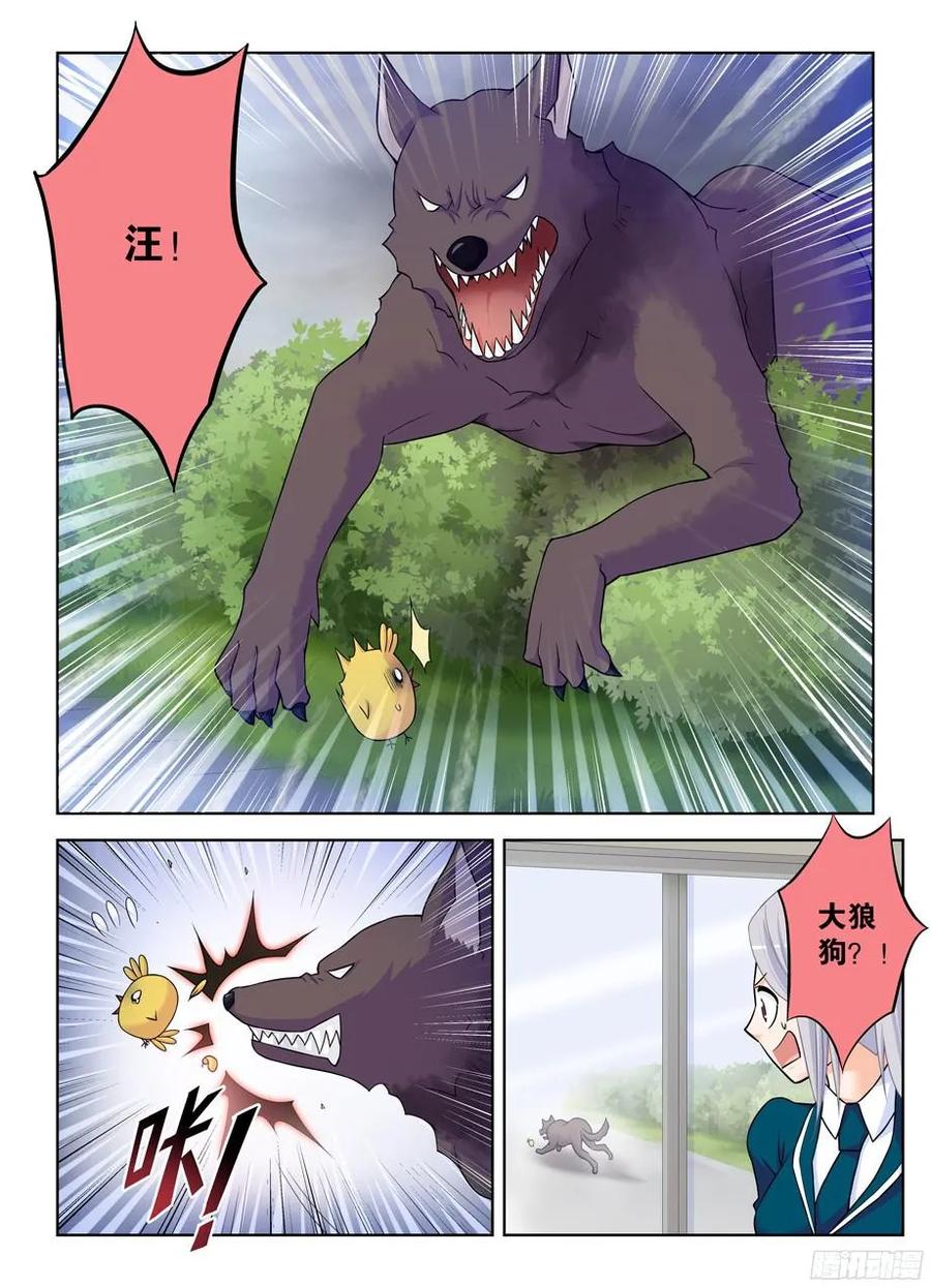 378，原来你是这样的鸡鸡1