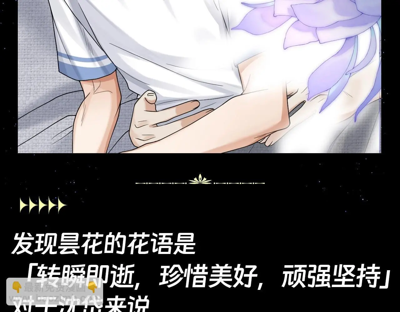 第15期 整活企划：昙花的花语3