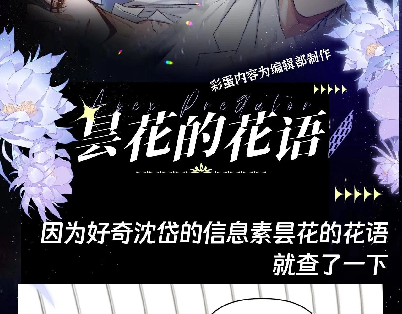 第15期 整活企划：昙花的花语1