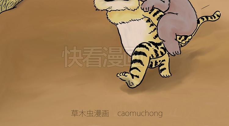 绘心婚恋石家庄漫画,斗舞4图